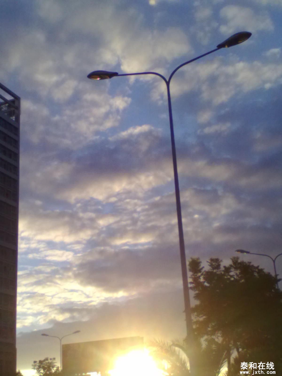 201206302446.jpg