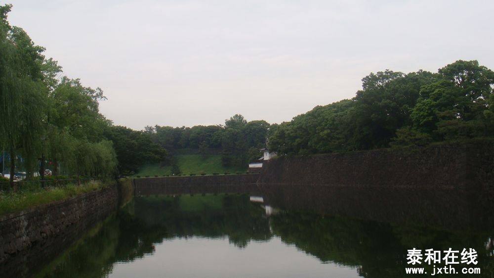 DSC09546.JPG