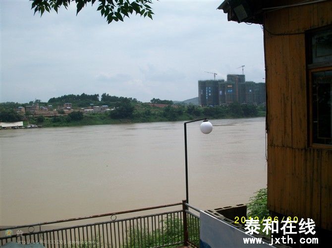 y5464.jpg