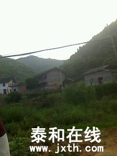 IMG0516180600.jpg