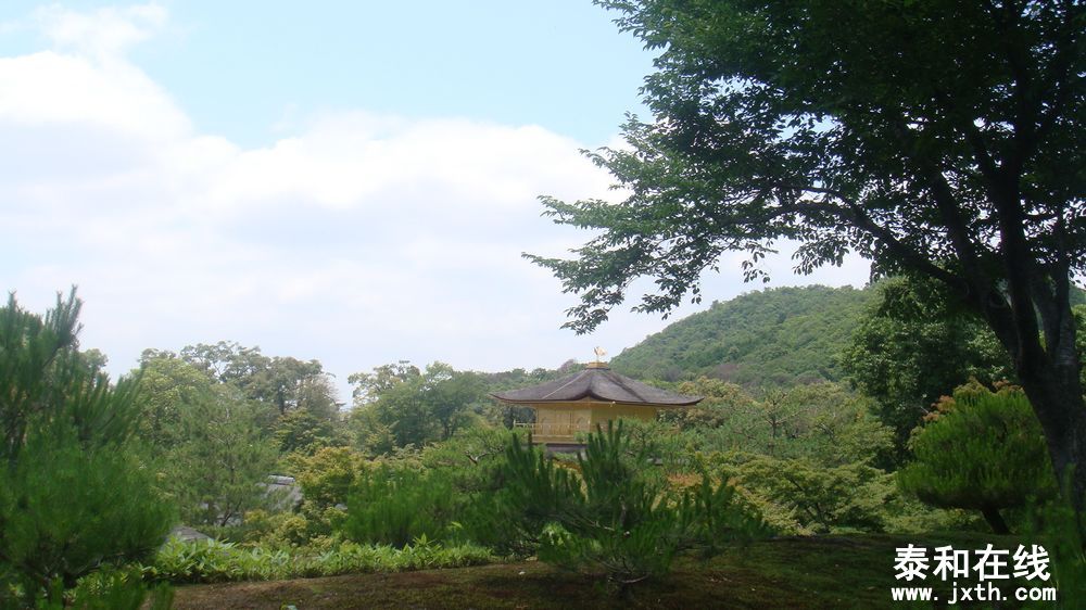 DSC09812.JPG
