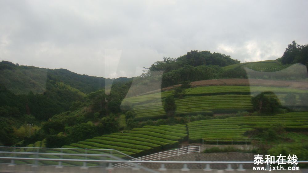 DSC09679.JPG