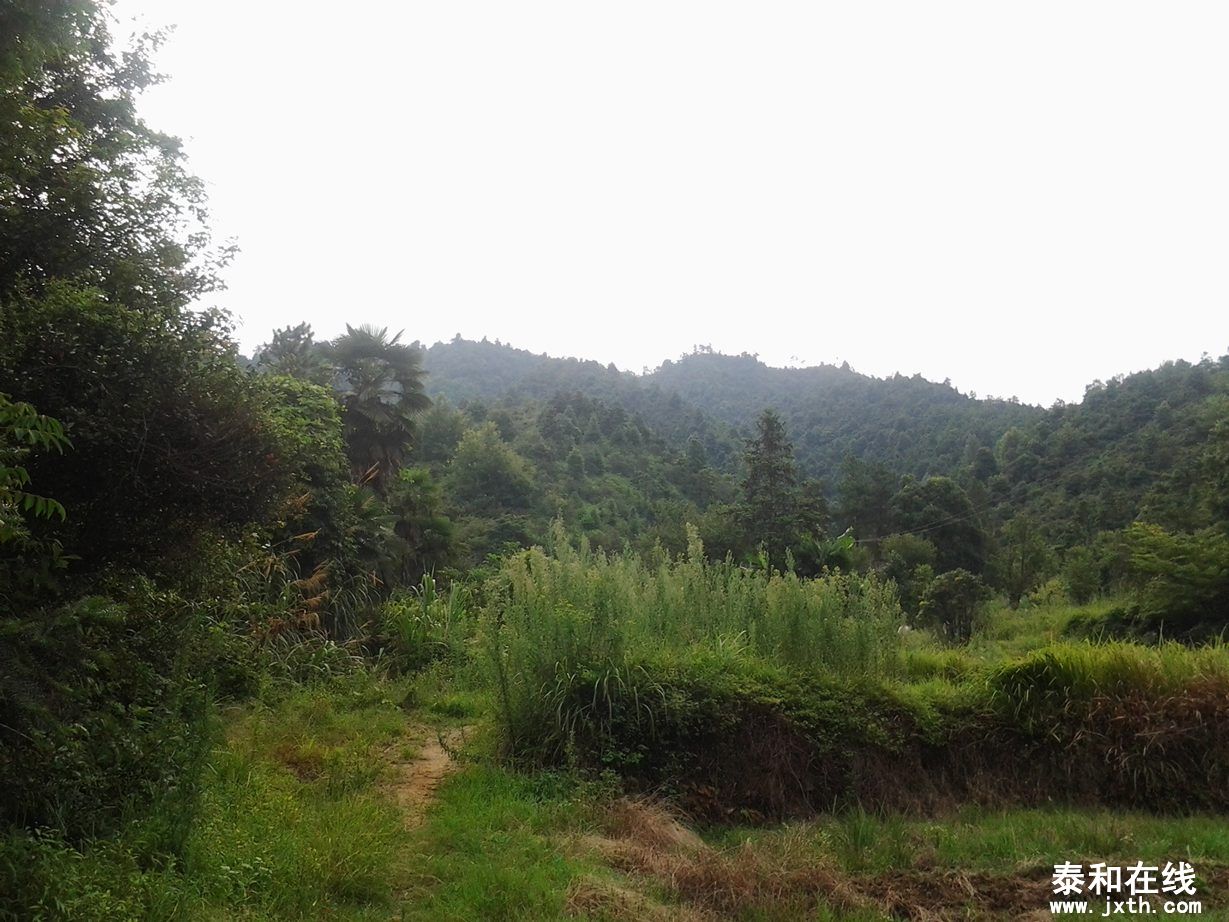 2012-07-15 16.25.59.jpg