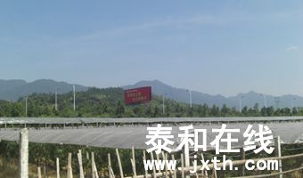 CIMG2555.jpg