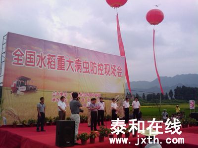 IMAG0367.jpg