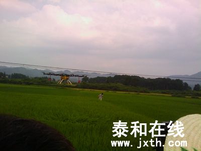 IMAG0381.jpg