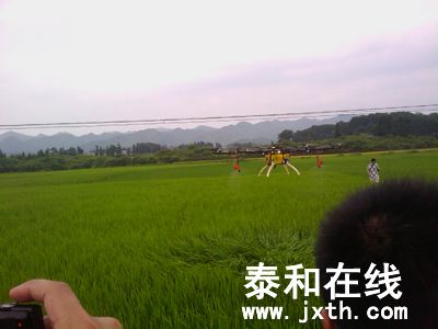 IMAG0382.jpg