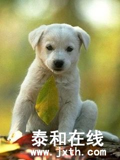 1a988e7943341aa4a6463.jpg