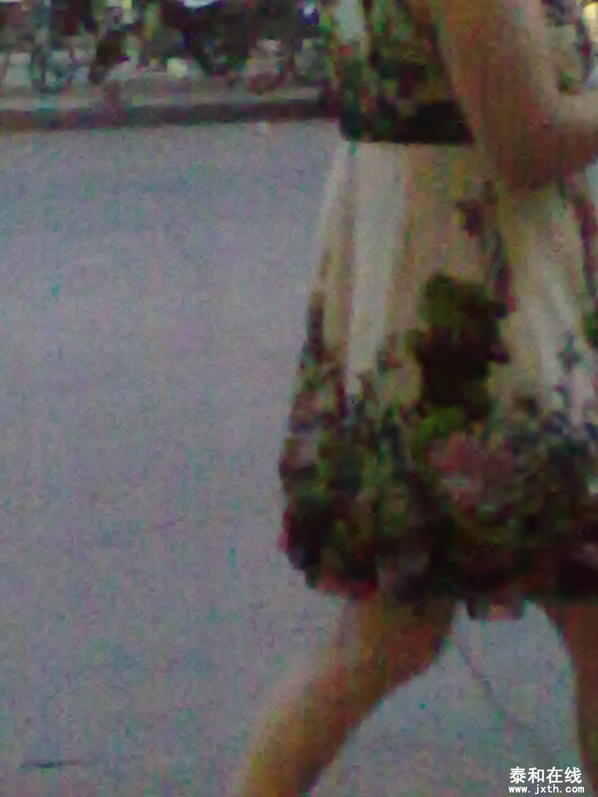 201207042816.jpg