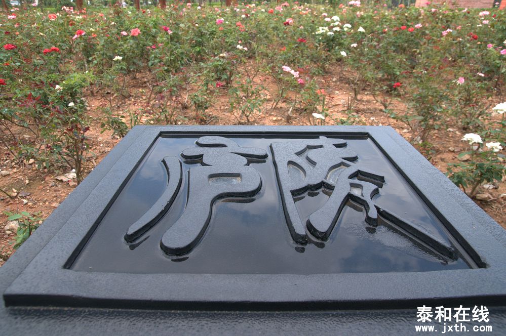 DSC_0371_nEO_IMG.jpg