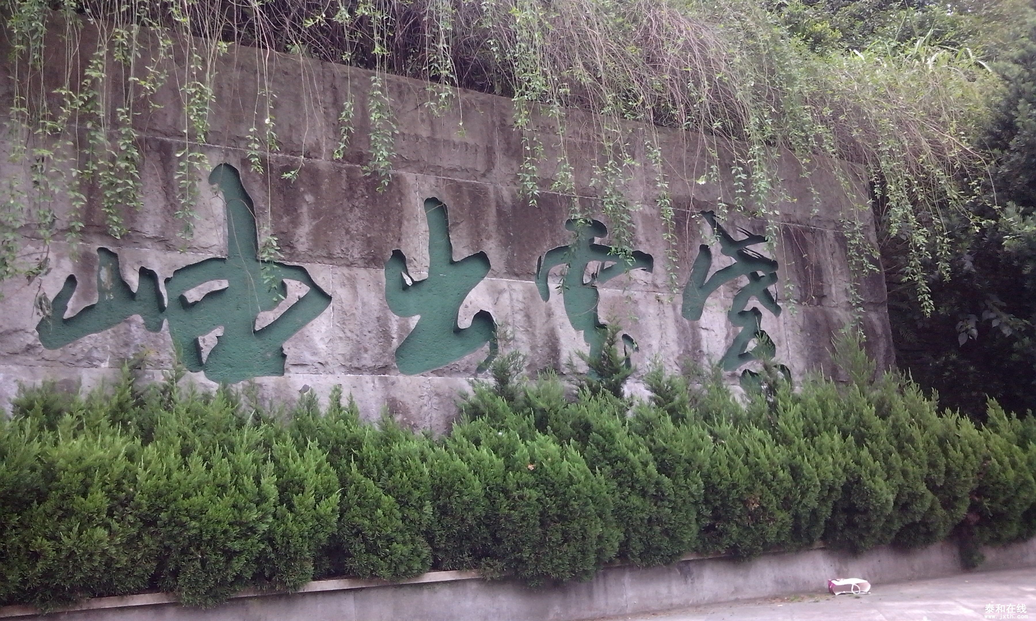 IMG_20121001_131506.jpg