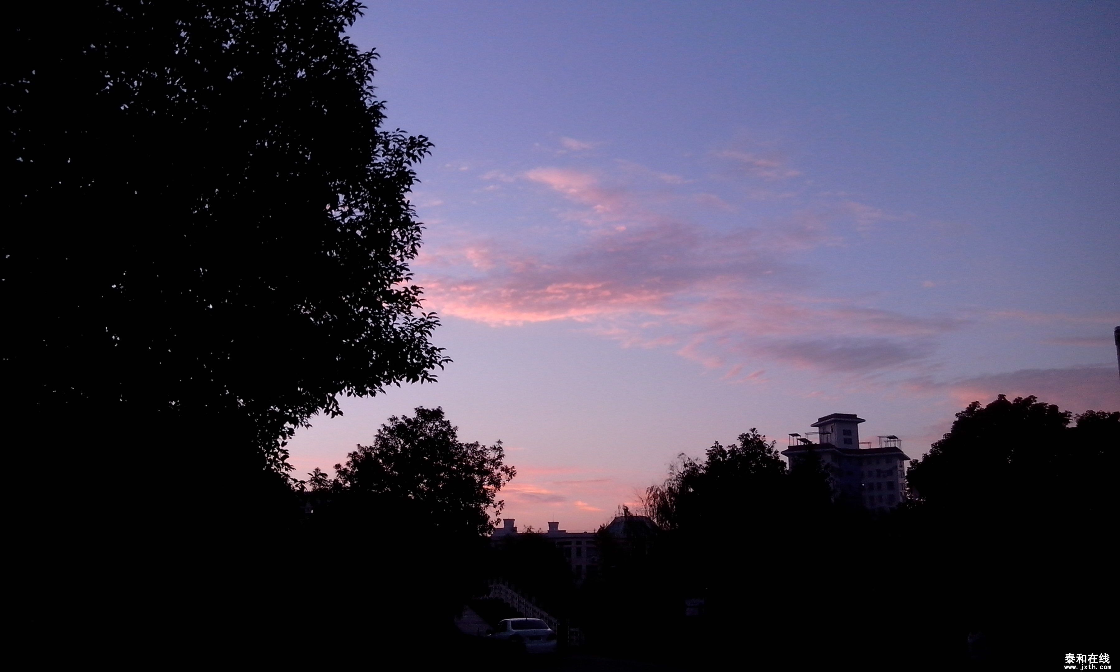 IMG_20121003_054554.jpg