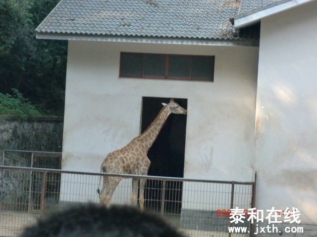¹0.jpg