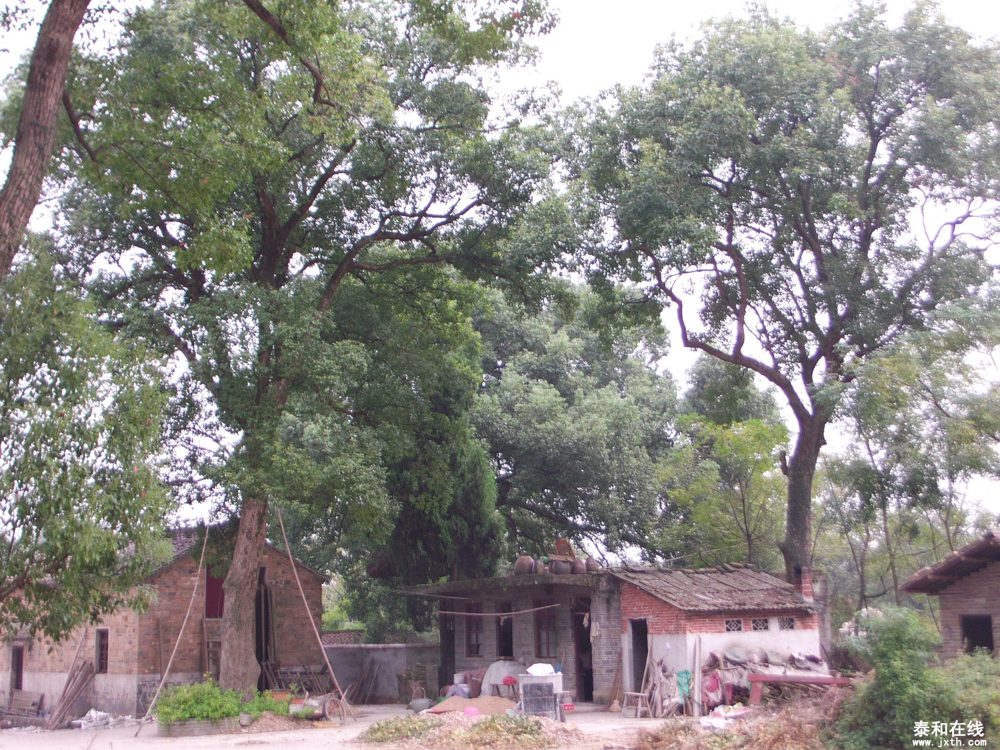 FILE1891.JPG