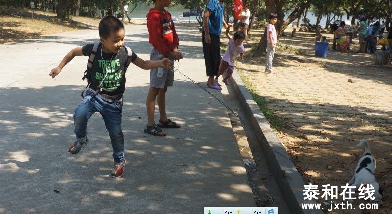 02.jpg