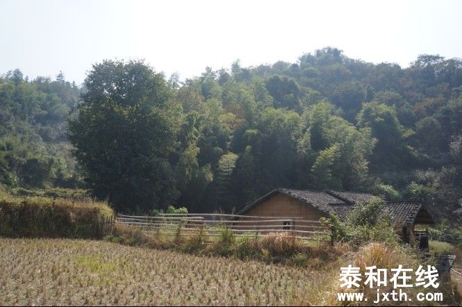 羰4.jpg