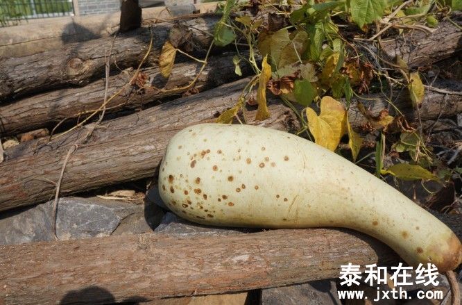 羰5.jpg