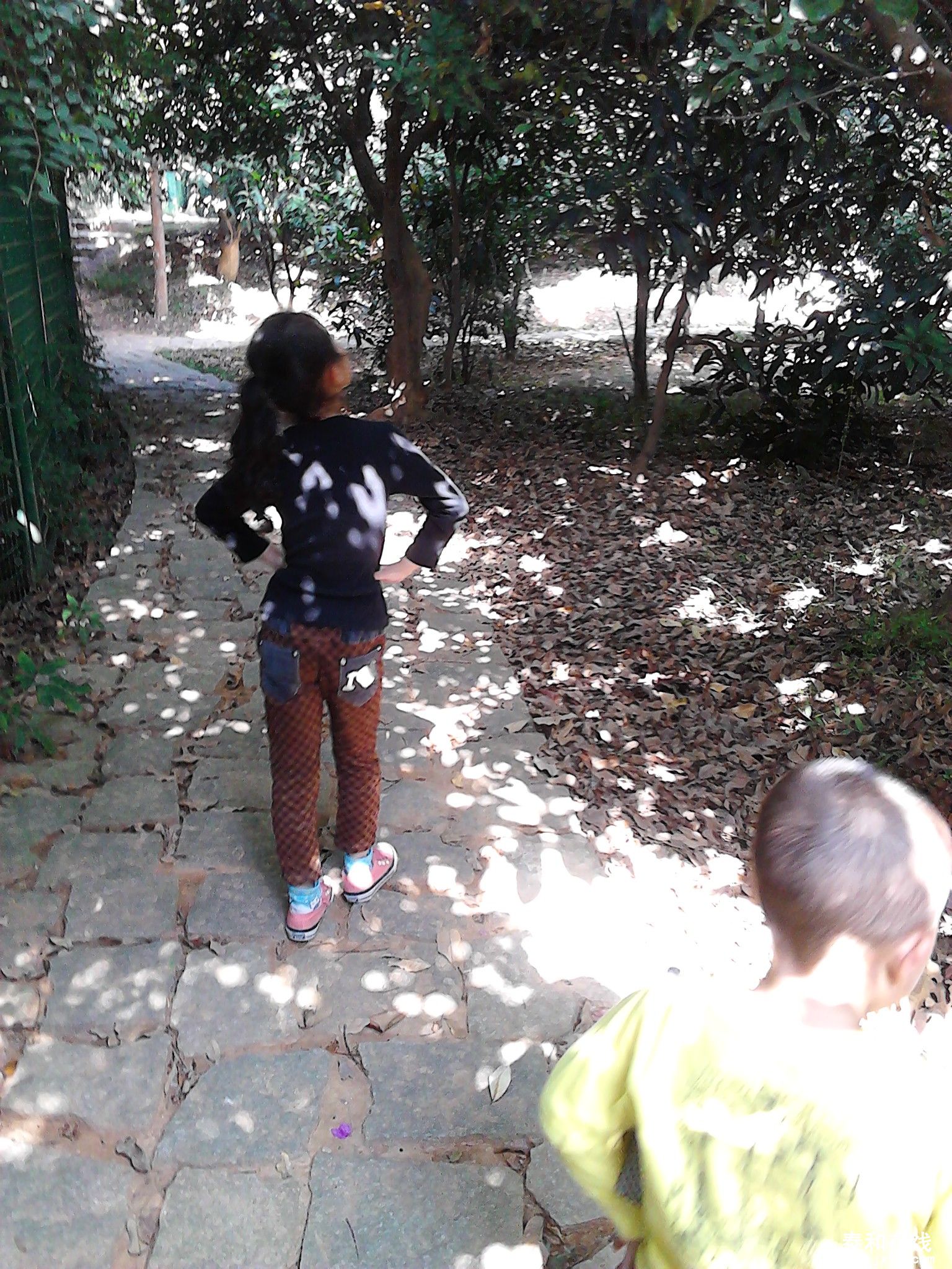 IMG_20121103_135518.jpg