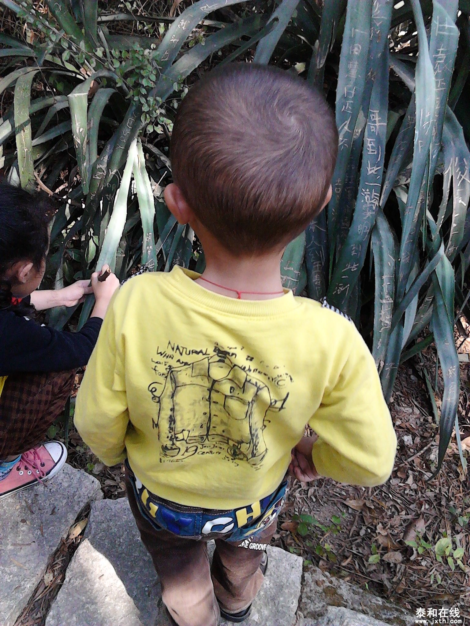 IMG_20121103_142558.jpg