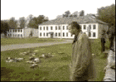 22.gif