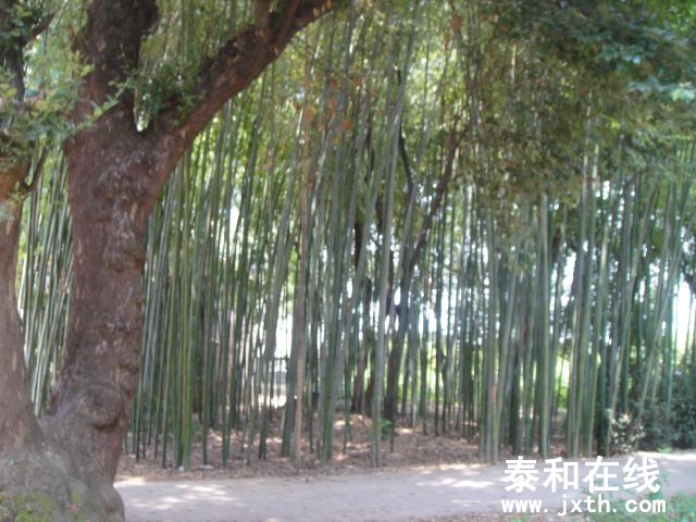 DSC06561.JPG