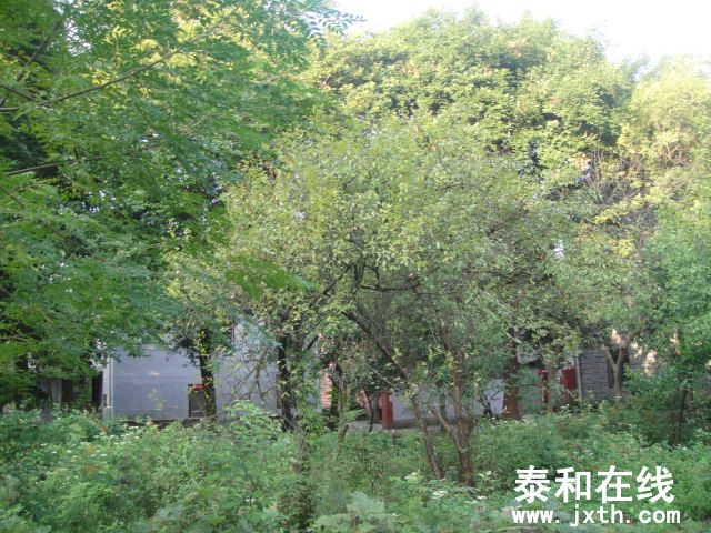 DSC06587.JPG