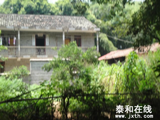 DSC06570.JPG