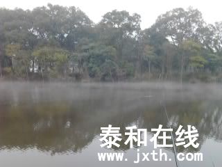 Ƭ0433.jpg