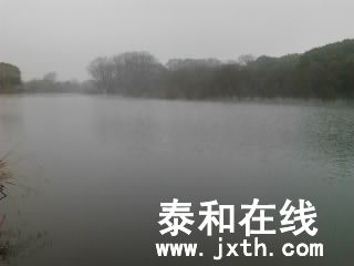 Ƭ0435.jpg