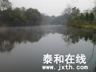 Ƭ0436.jpg