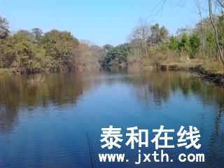 Ƭ0437.jpg