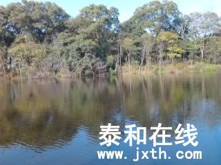 Ƭ0438.jpg