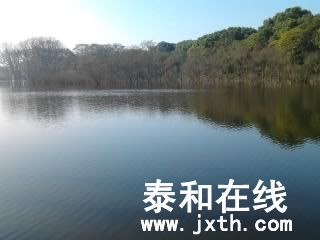 Ƭ0439.jpg