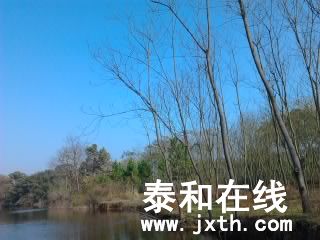 Ƭ0440.jpg