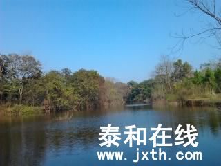 Ƭ0441.jpg