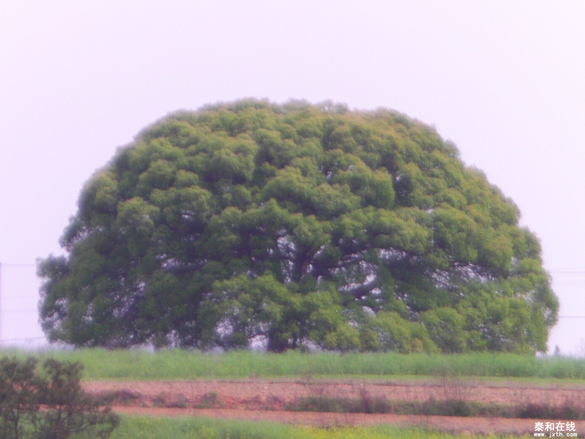 FILE0983.JPG