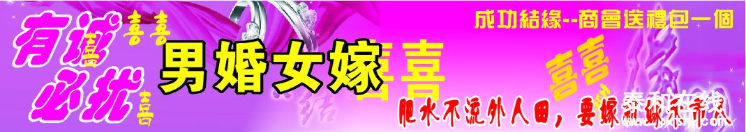 2013517.jpg