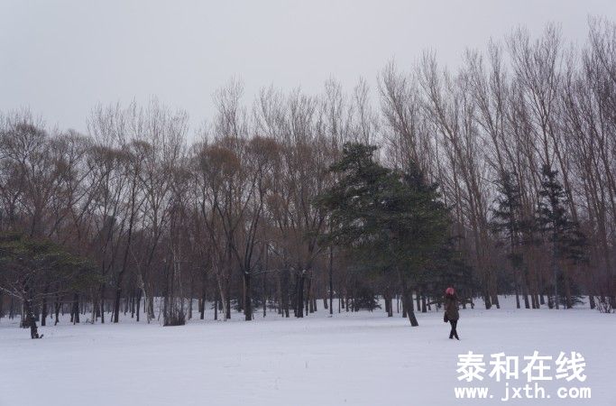 ̫3.jpg