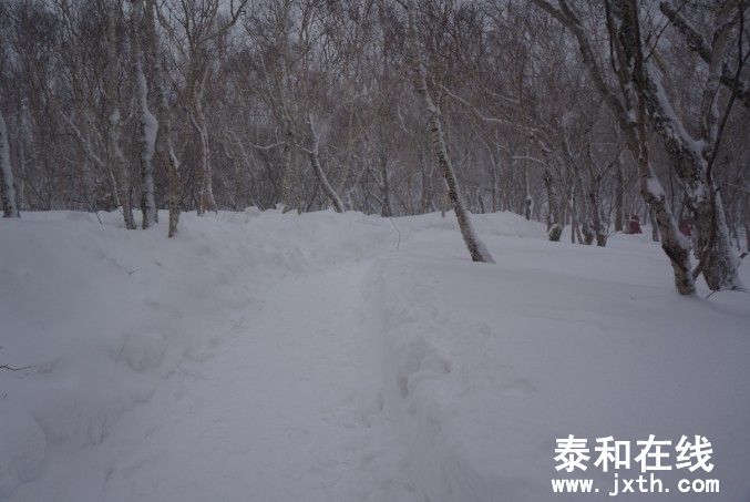 С13.jpg