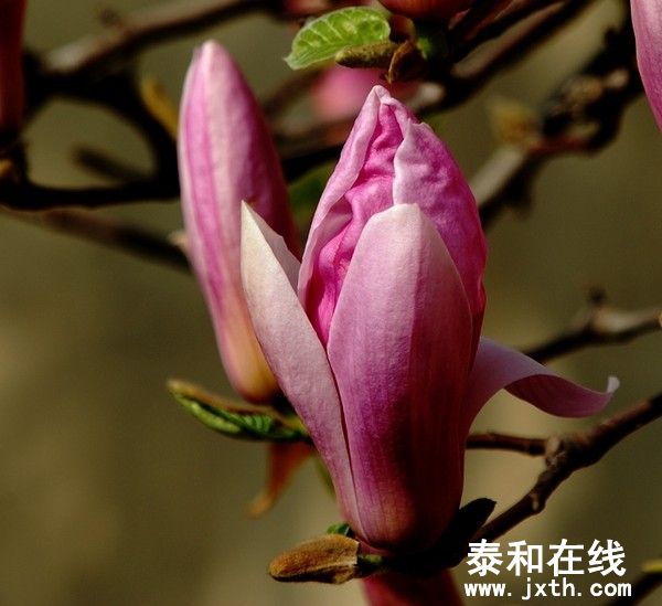 5201189_600.jpg