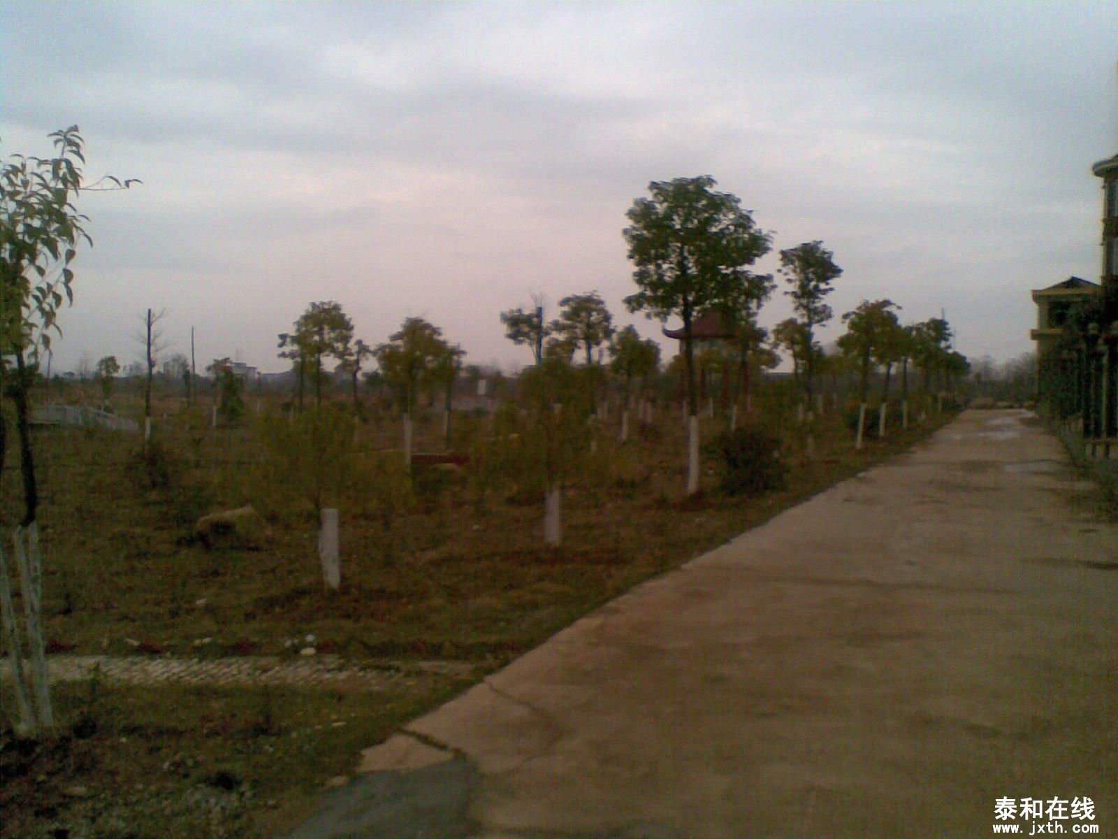 20130227(009).jpg