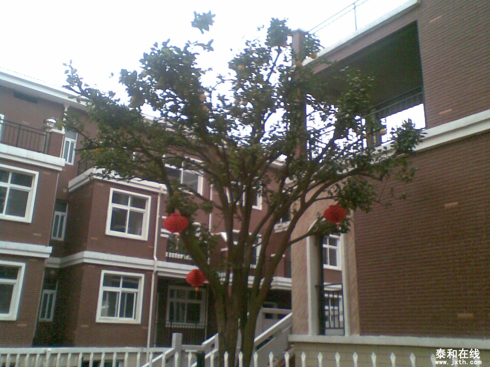 20130227(028).jpg