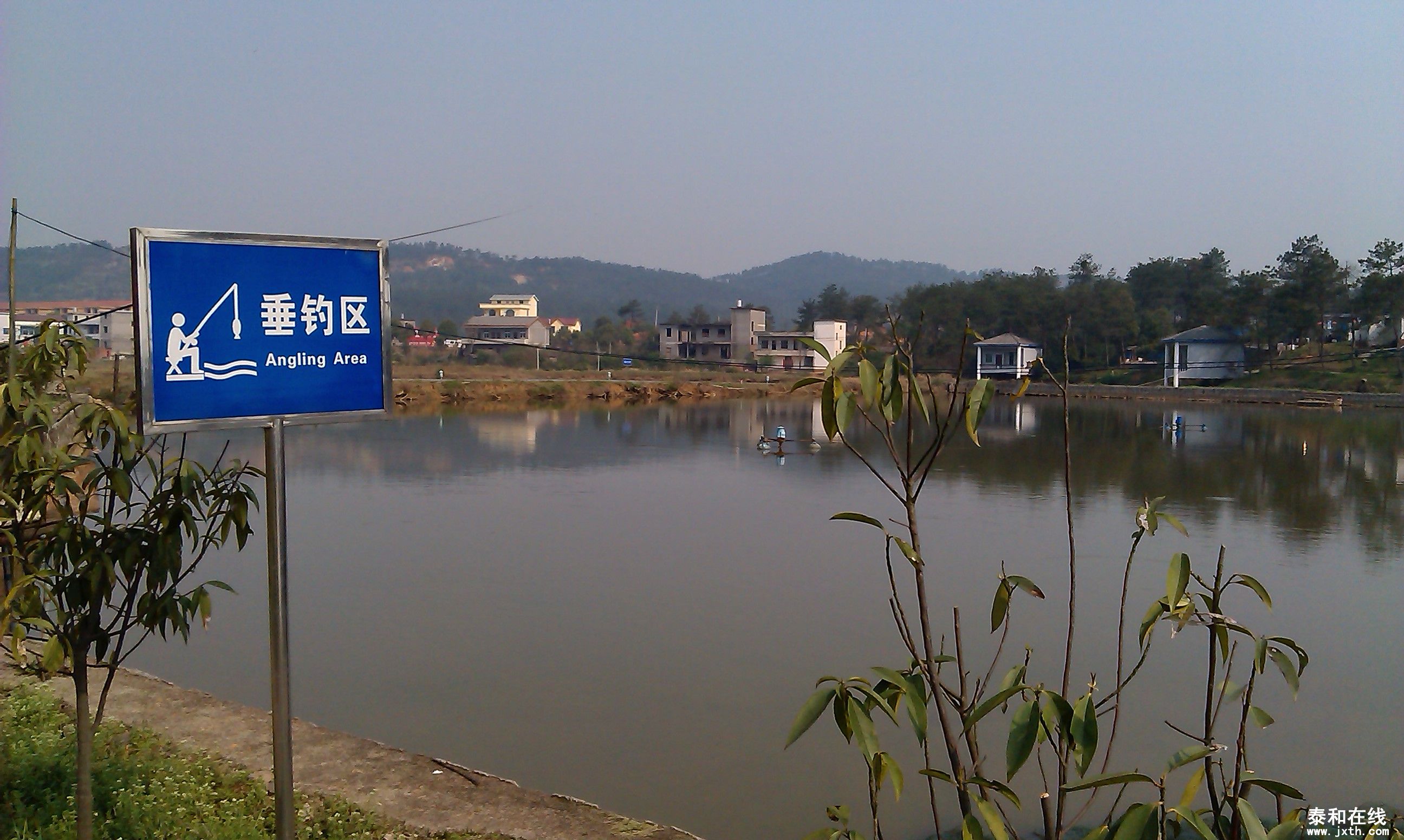 IMAG0252.jpg