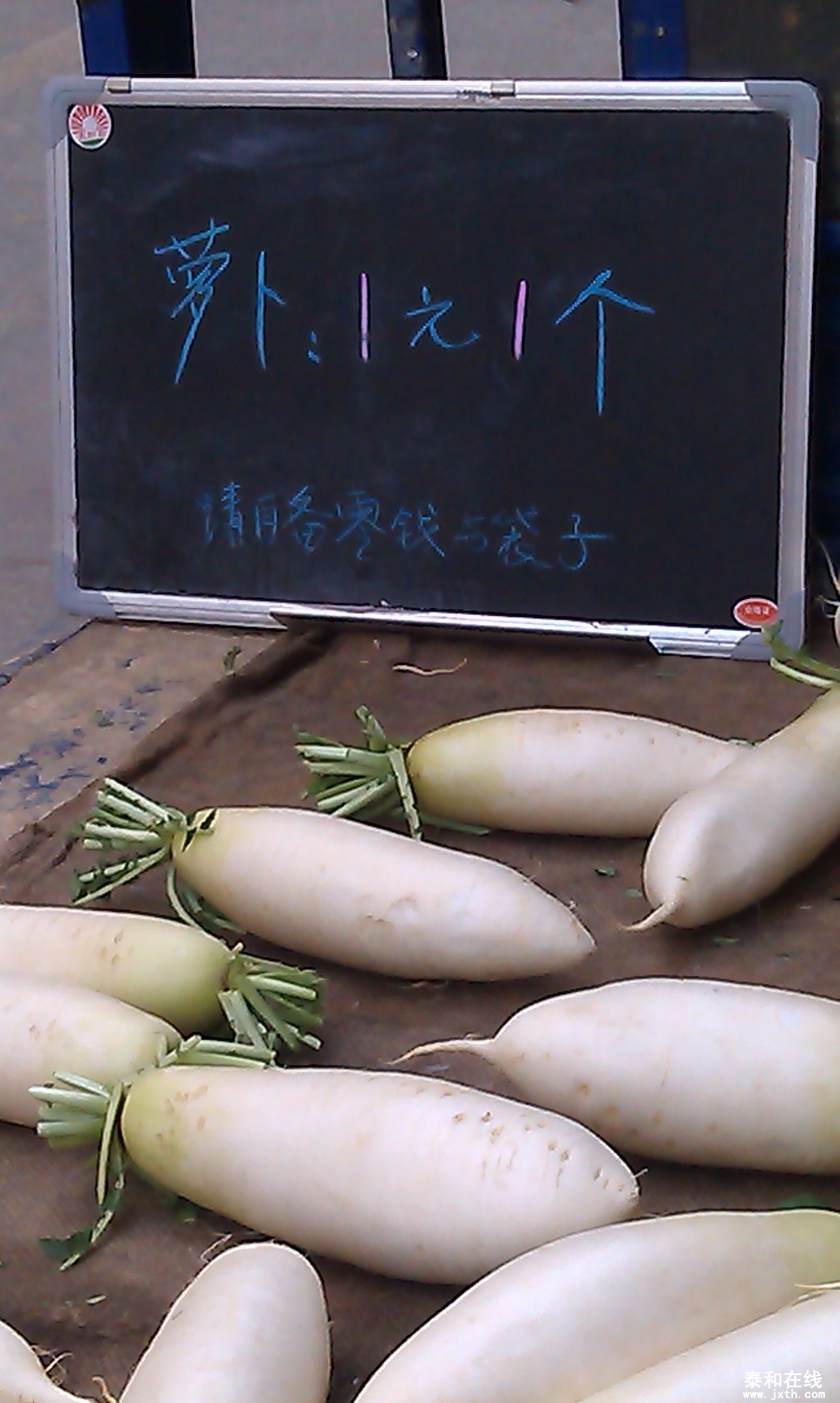 IMAG0313.jpg