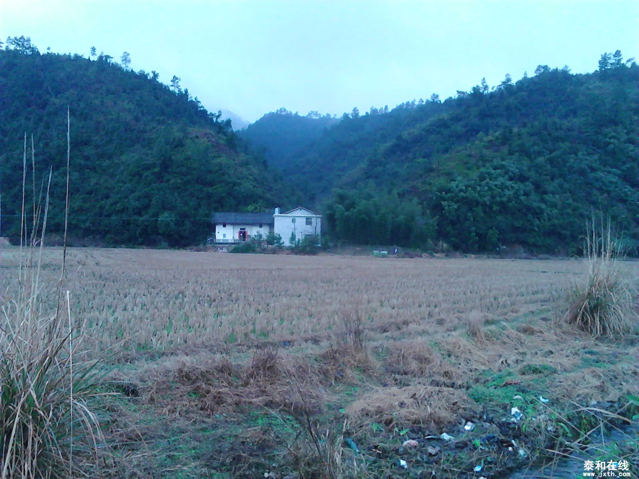 IMG_20130212_101549.jpg