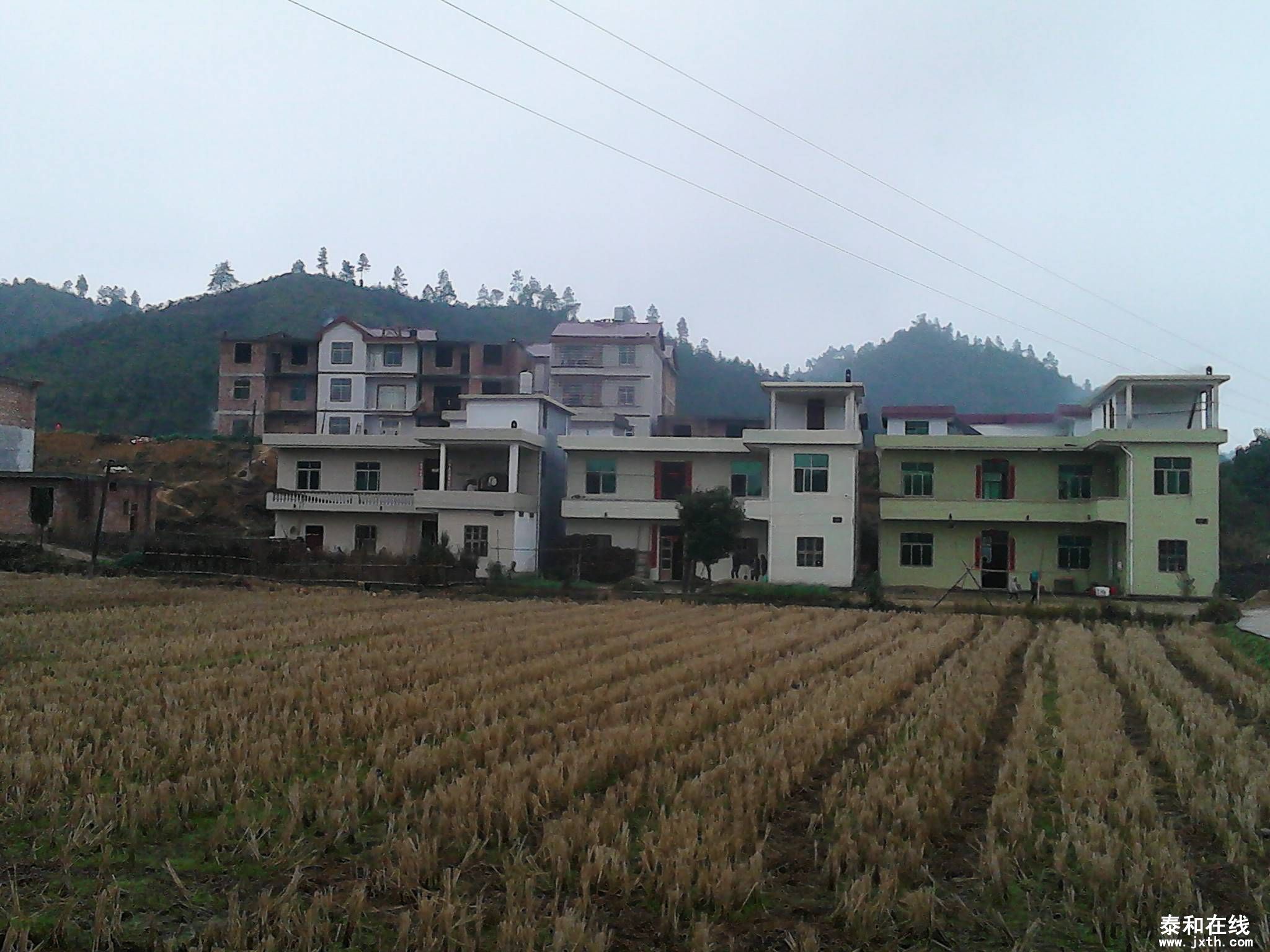 IMG_20130209_115723.jpg