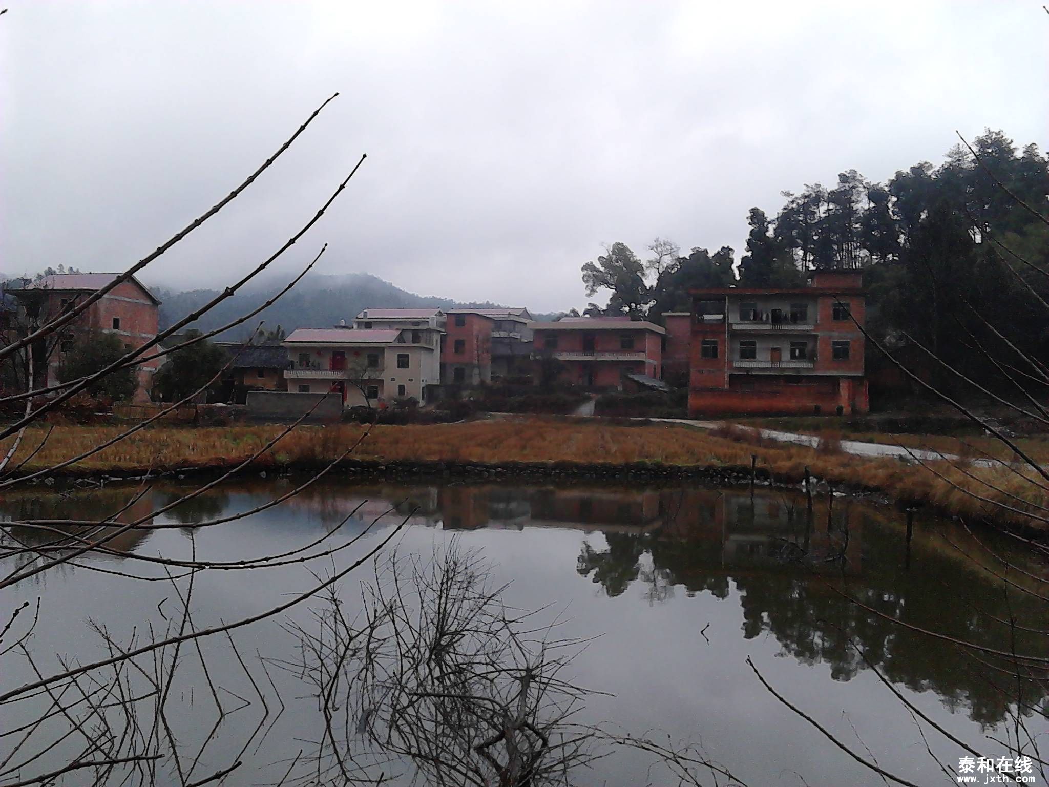 IMG_20130212_095941.jpg