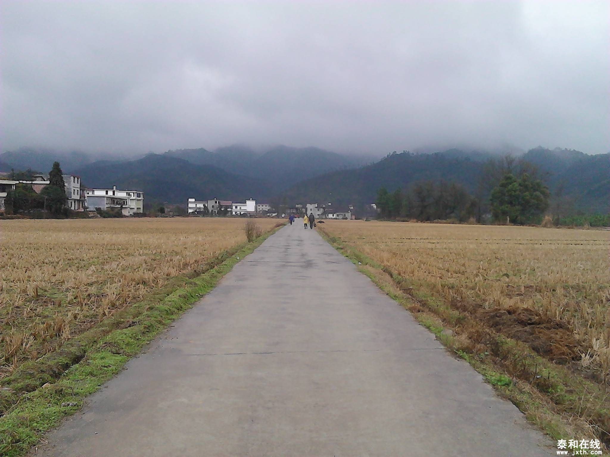 IMG_20130212_100032.jpg