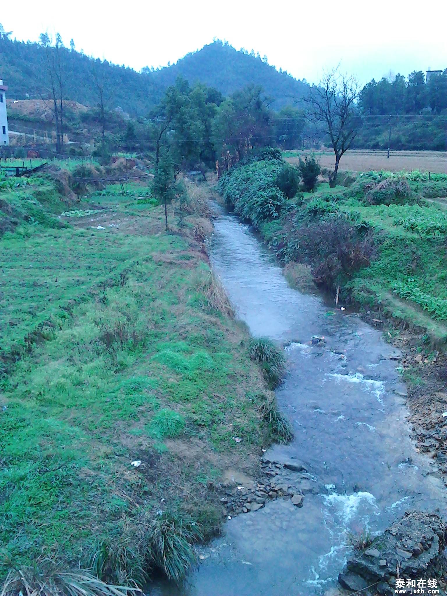 IMG_20130212_100725.jpg