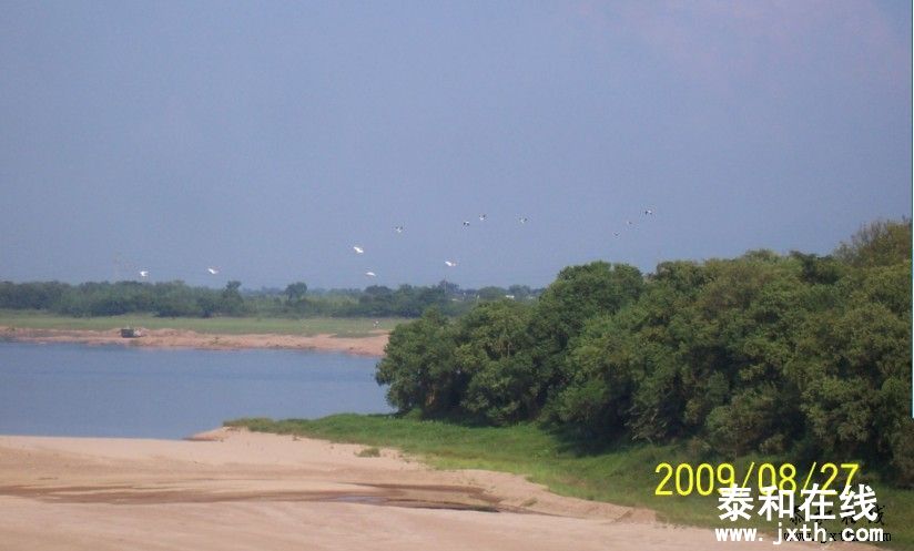 212252tpzrprqah5rqti55.jpg